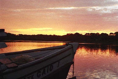 Dawn on the Amazon