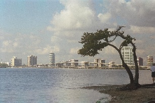 Rickenbacker Causeway and Bridge plus Miami Skyline
